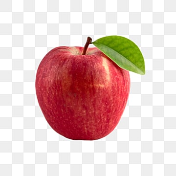 fruit